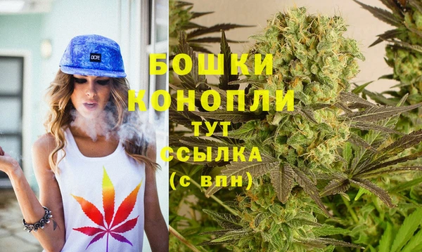 ALPHA PVP Белокуриха