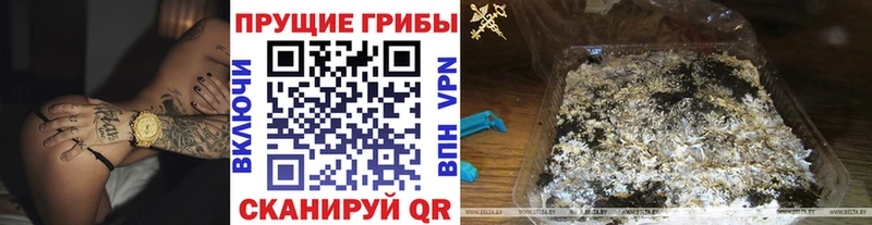 Галлюциногенные грибы прущие грибы  KRAKEN зеркало  Мглин 