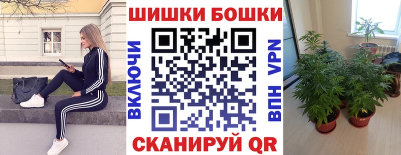 Марихуана Amnesia  Мглин 